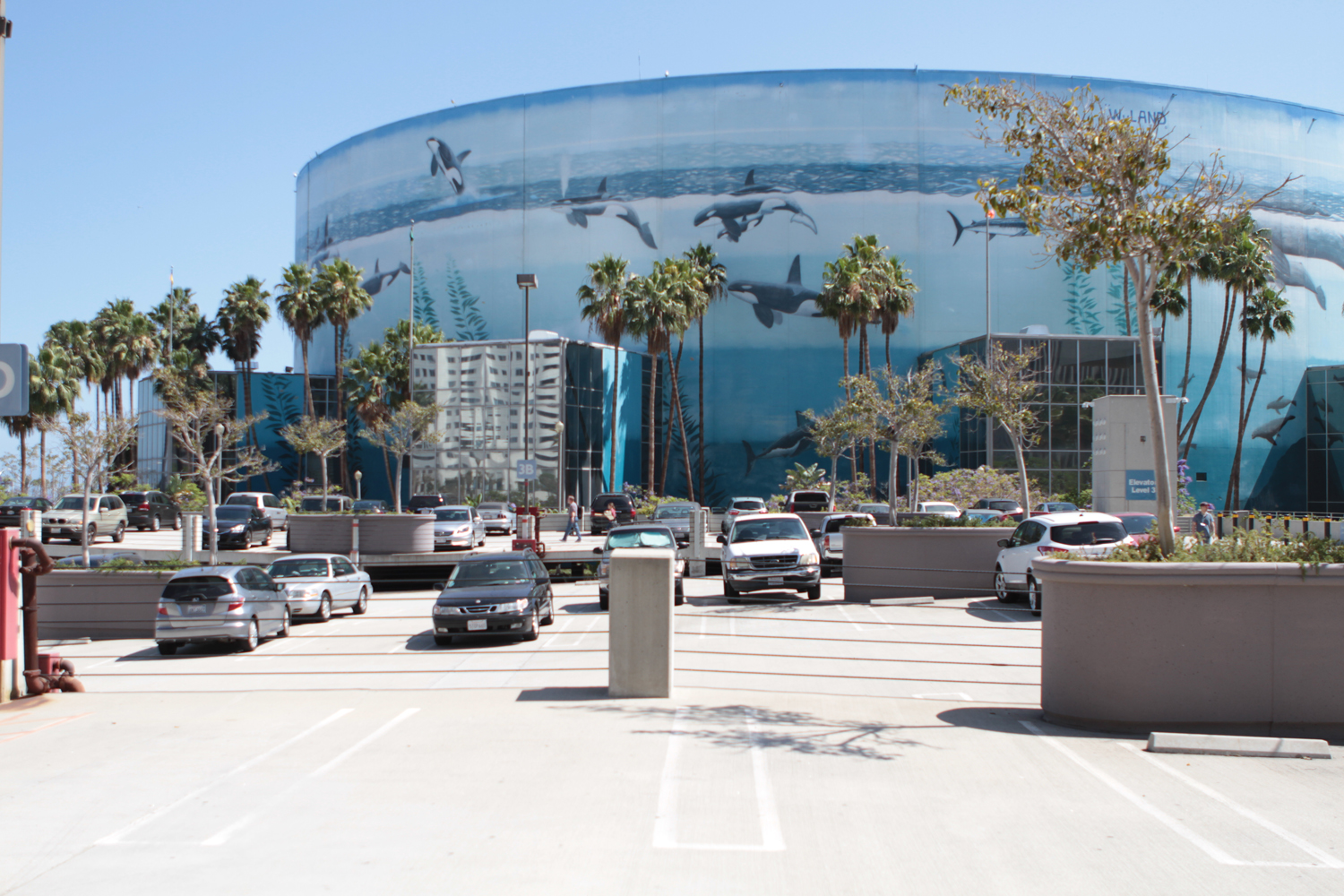 lbcc